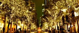 From tomorrow! Winter Illuminations 2014 in Marunouchi