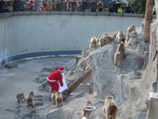 UENO ZOO WINTER Event