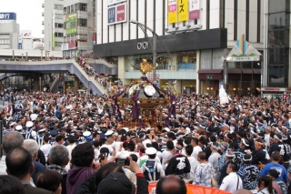 Portable shrine festival around Shitaya Shrine