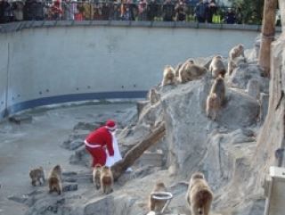 冬のイベント　in 上野動物園