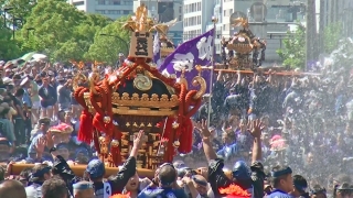 深川八幡祭り　8/13　8/14　8/15　8/16