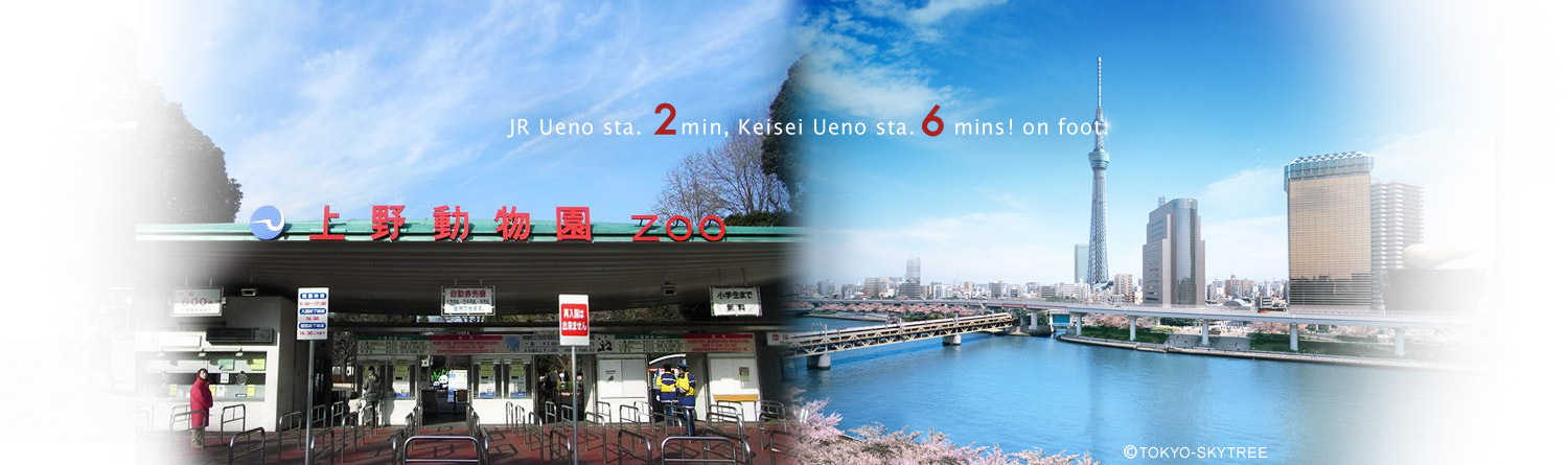 JR Ueno sta. 2 min, Keisei Ueno sta. 6 mins! on foot.