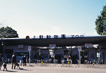 01上野動物園